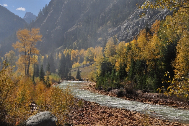 fall foliage along the Animas River